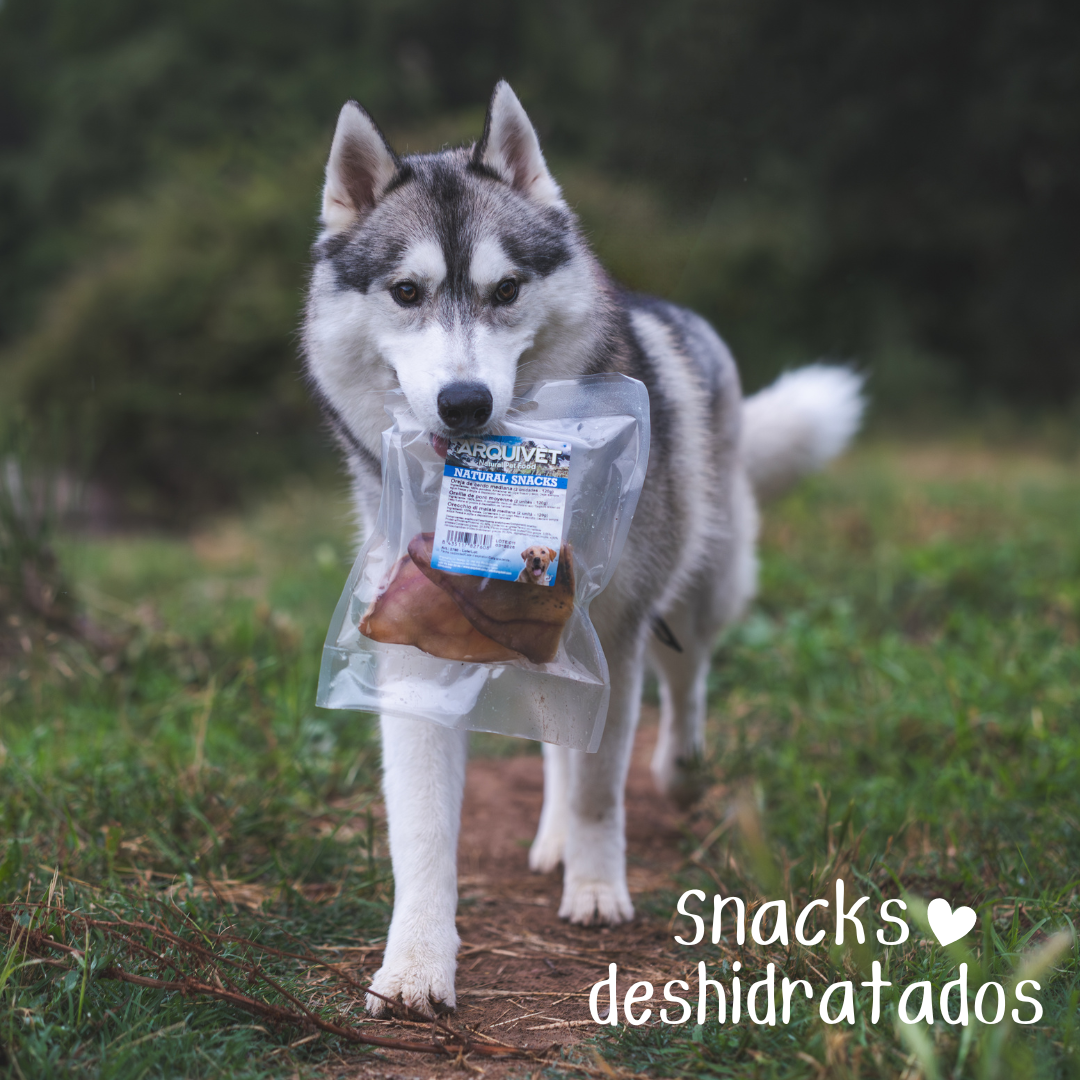 Snacks Deshidratados