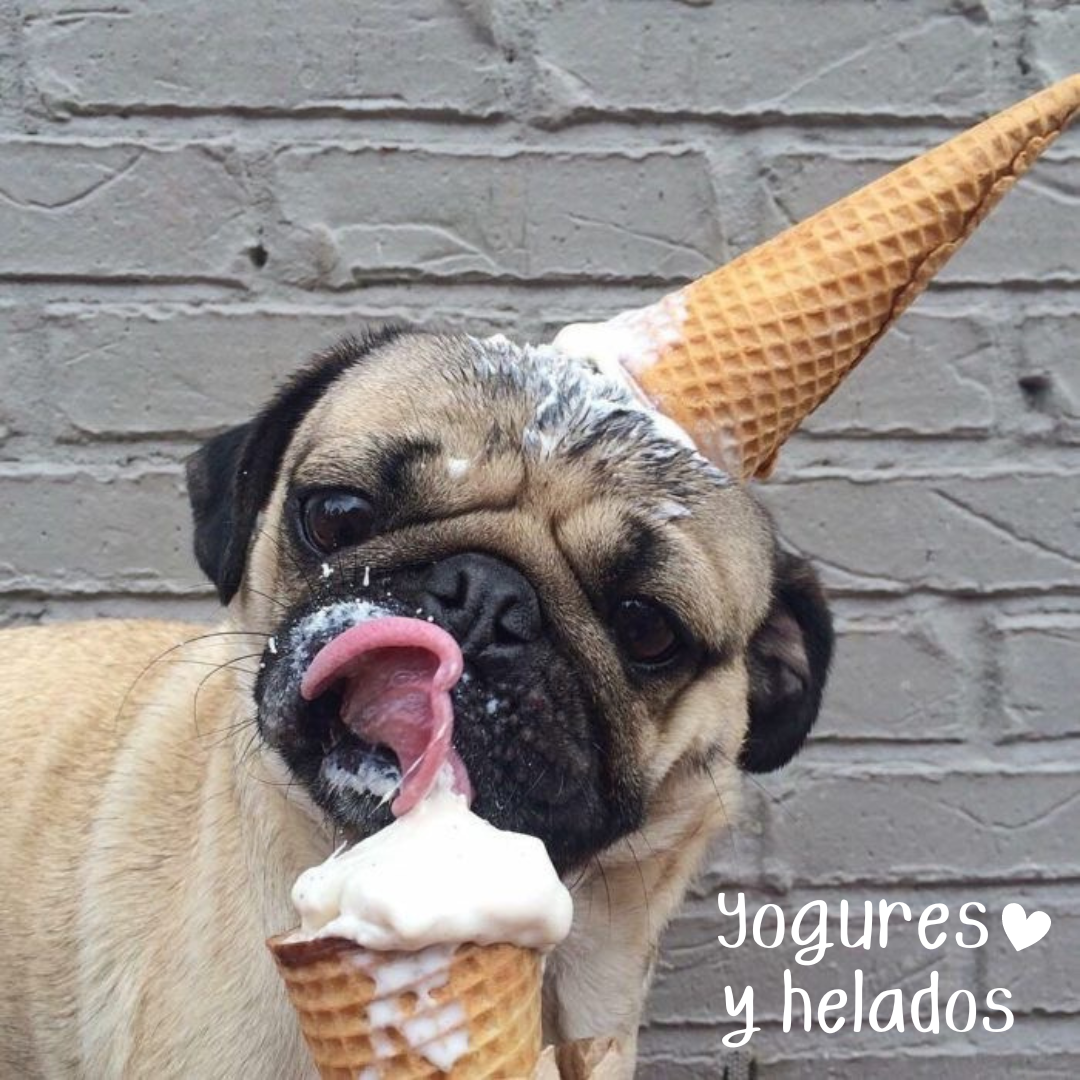 Yogures y Helados