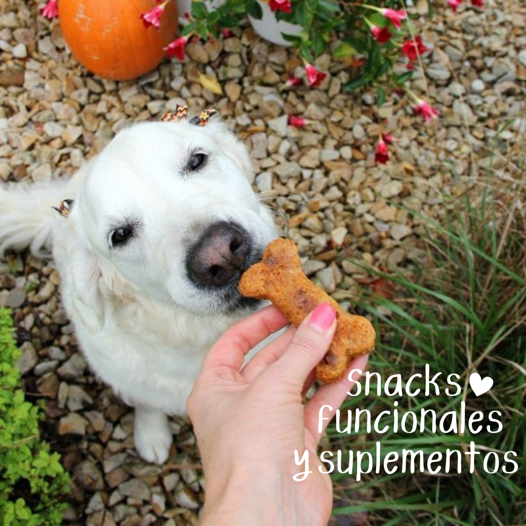 Snacks Funcionales y Suplementos