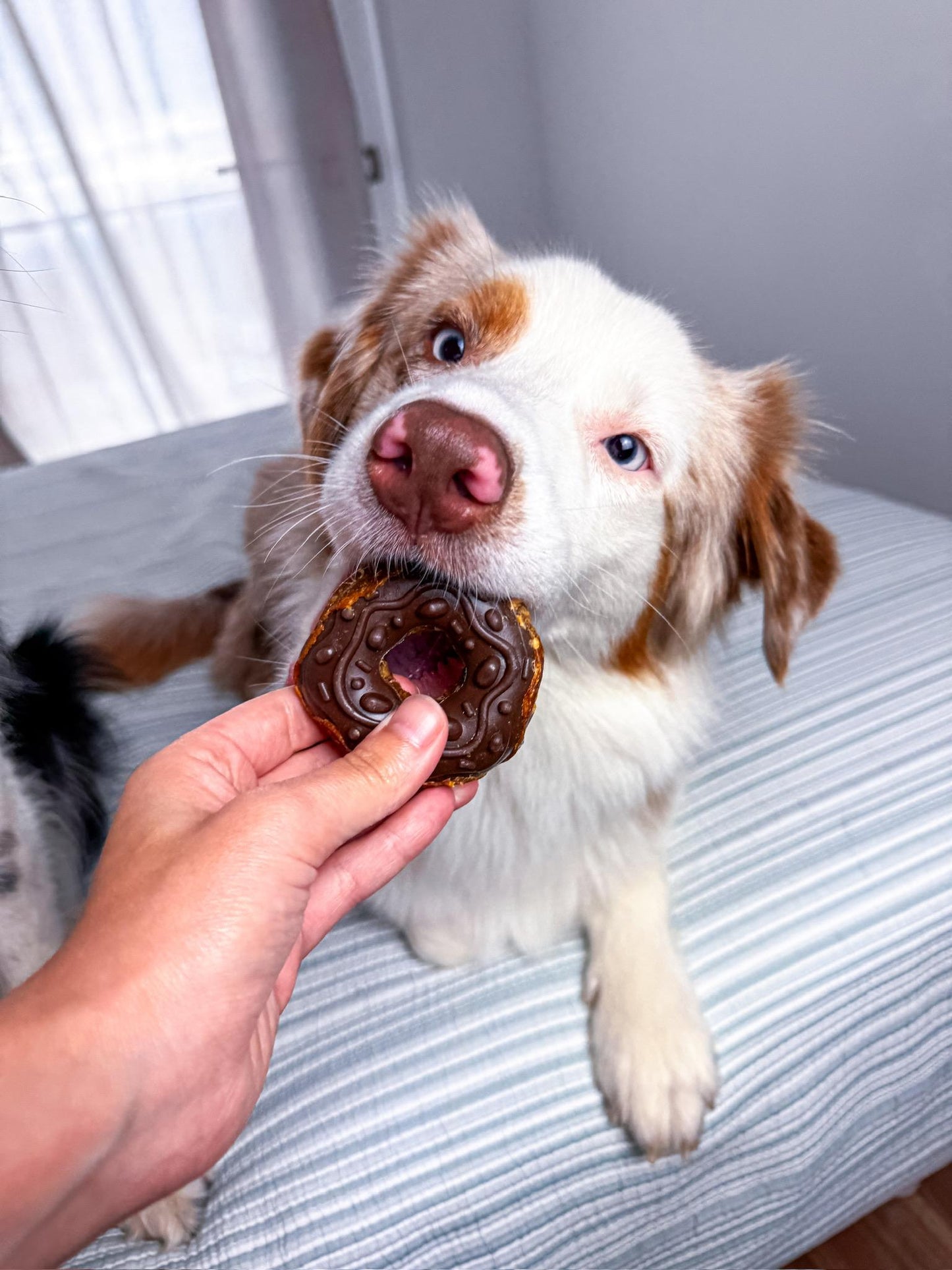 Donut de Pollo con Glaseado